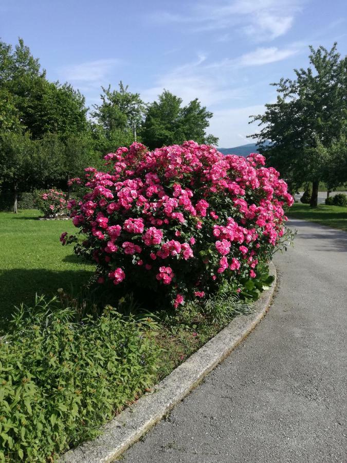 Guesthouse Šebalj Rakovica Eksteriør billede