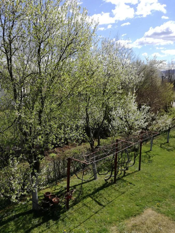 Guesthouse Šebalj Rakovica Eksteriør billede